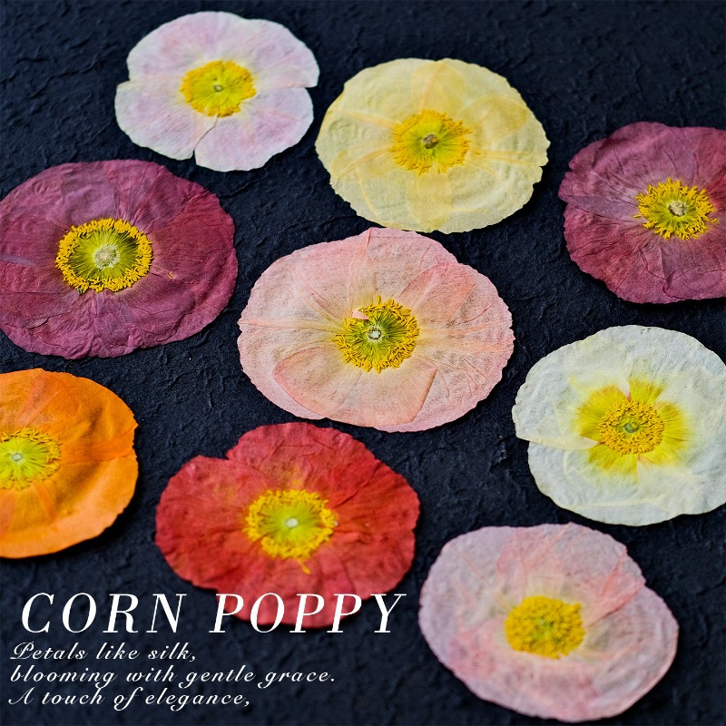 1개, 자연산 양귀비 압화 DIY 레진 몰드 스크랩북  - Art And Craft Photos 리뷰 및 가격