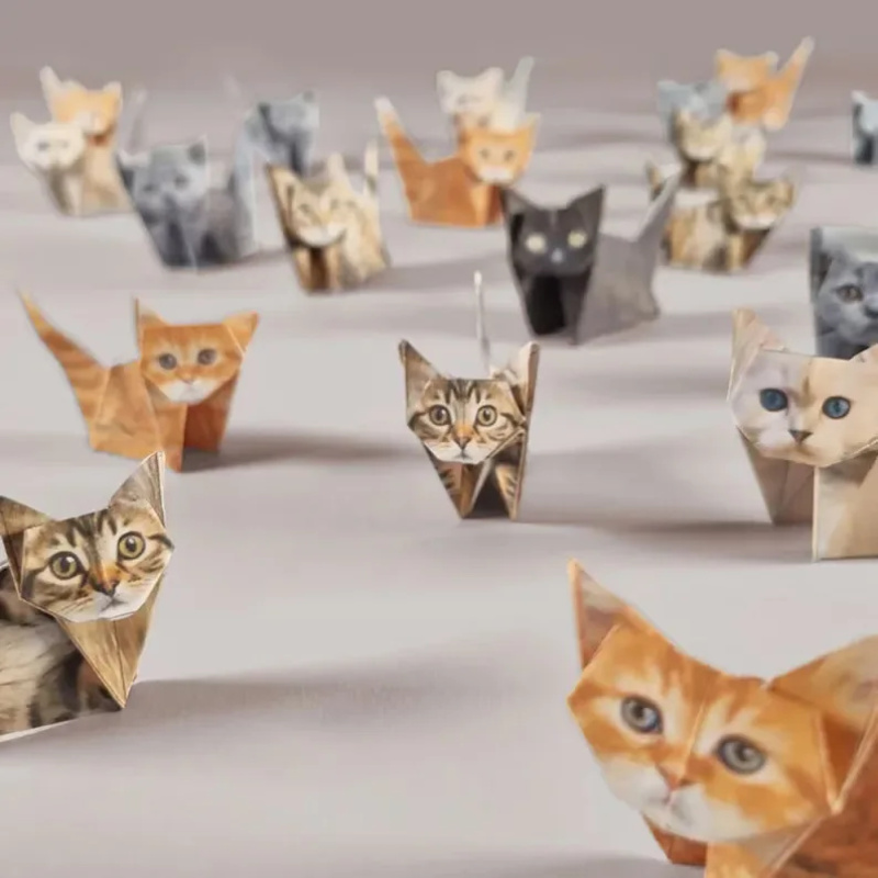 50장 창의적인 DIY 종이접기 동물 접기 세트 고양이 - Art Craft Cat 리뷰 및 가격