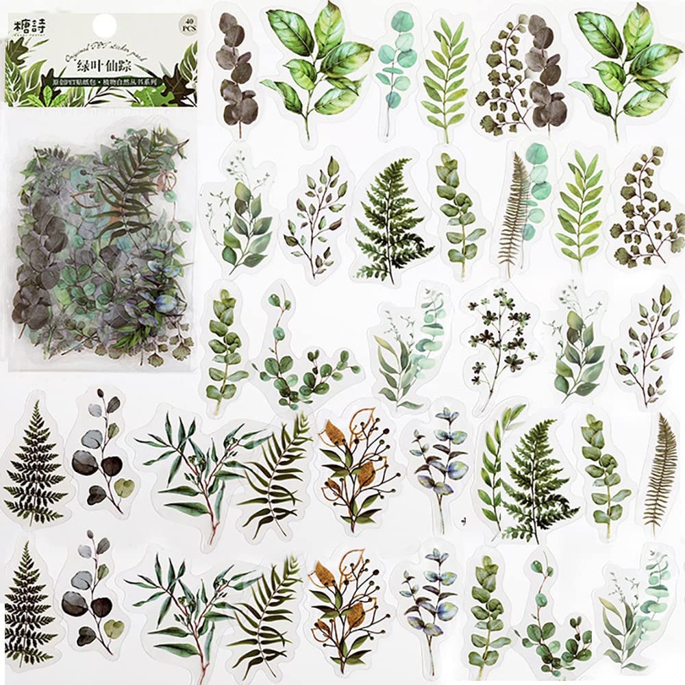 40 Pcs 스크랩북 스티커 애완 동물 투명 꽃 자연  - Art And Craft Photos 리뷰 및 가격