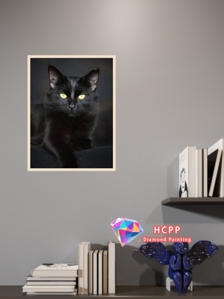 프레임 없는 검은 고양이 동물 다이아몬드 페인팅 키트  - Art Craft Cat 리뷰 및 가격